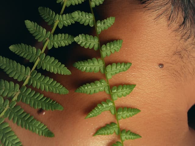 Removal of skin fibromas by a specialist